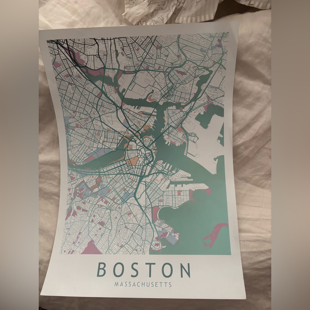 Boston Map Art Print